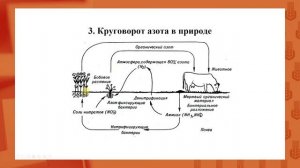 Агрохимия Лекция 3
