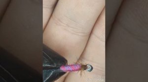 Енисейские мушки.Рабочие по хариюсу в Красноярске, Частоостровском.