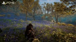 Assassin's Creed Valhalla: PS5 vs PC Graphics Analysis + Optimised PC Settings