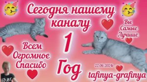 Видео 52. 🥳День рождения!🥳 Каналу 1 год! 🥳
Всем огромное спасибо ♥️