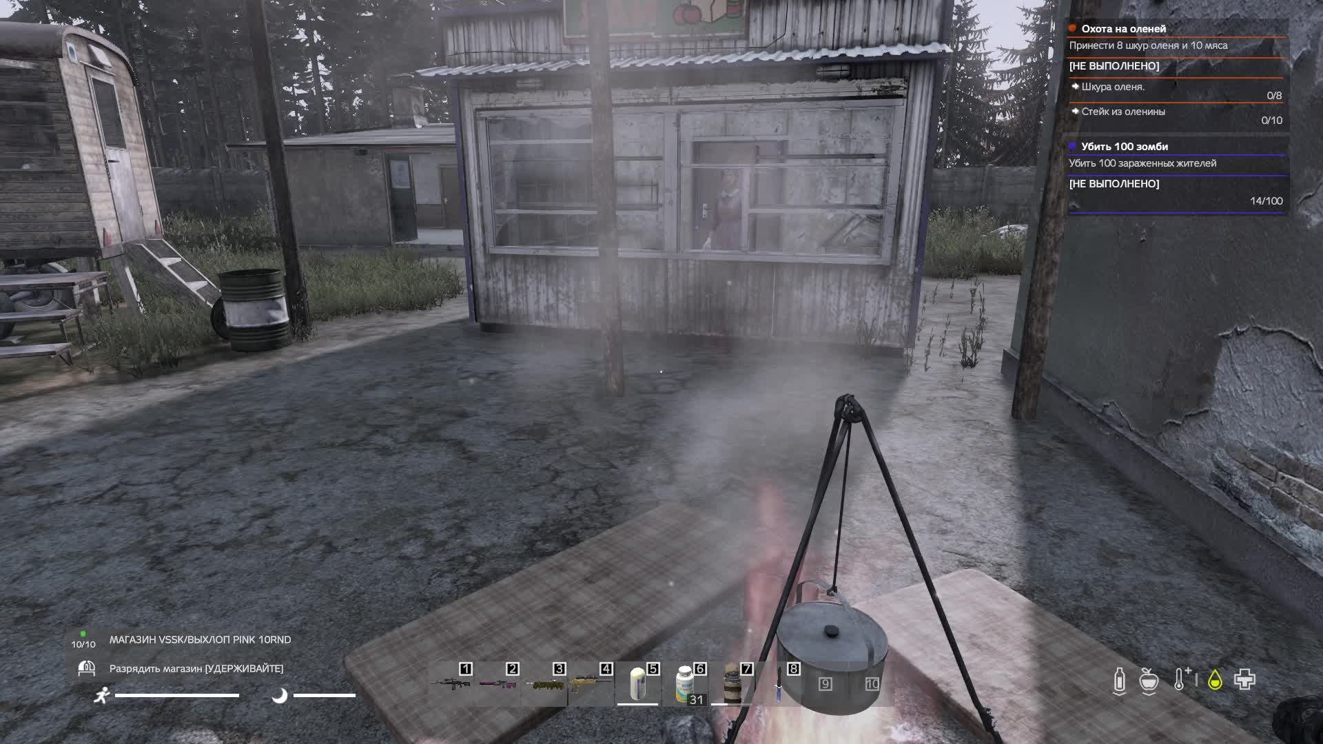 DayZ
