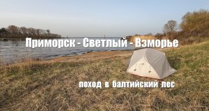 Приморск-Светлый-Взморье   поход в балтийский лес 30.03.2024