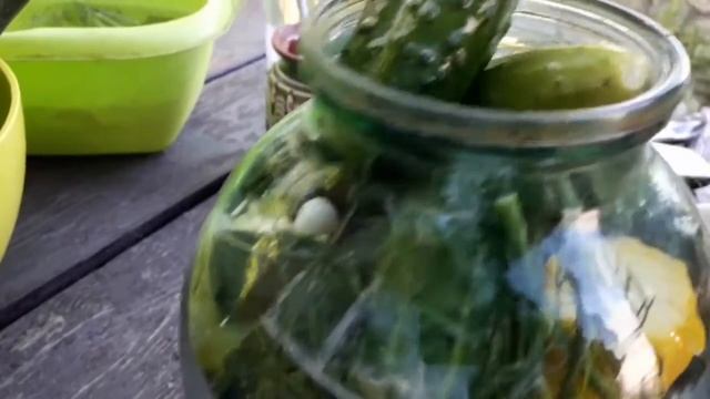 Отличная закуска - малосольные кабачки с первыми огурцами! #закуска #простыерецепты #кабачки