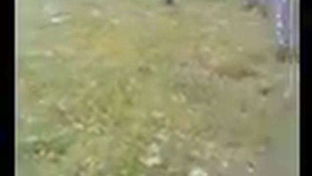 Егор, Дима, Артем - База отдыха "Зеленая Роща" смотреть онлайн