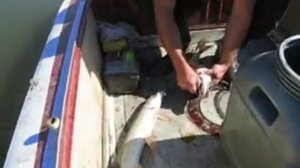 Рыбалка в Сибири, Fishing, Сузунская рыбалка.