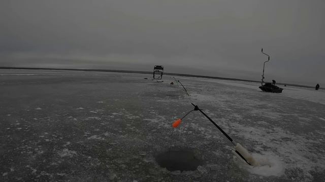 ПОСТАВИЛ УДОЧКИ НА КОРЮШКУ И ДЕЛО ПОШЛО! ЗИМНЯЯ ЛОВЛЯ КОРЮШКИ НА ФИНСКОМ ЗАЛИВЕ смотреть онлайн