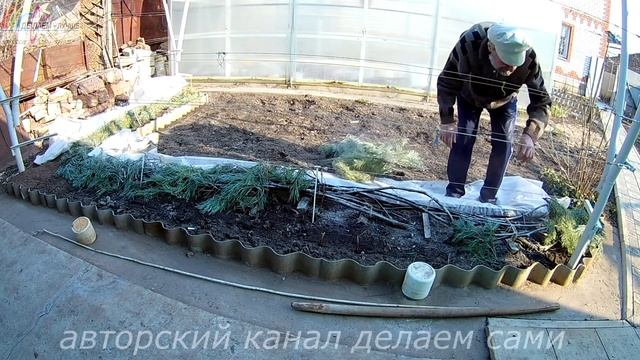 Виноград после зимы.Чем обрабатывать виноград после зимы.Обработка винограда после открытия