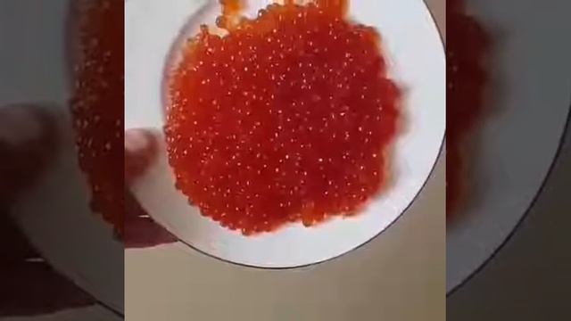 Как выглядит икра на ноге