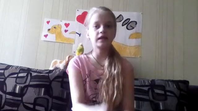 Собакам нельзя мясо??? смотреть онлайн