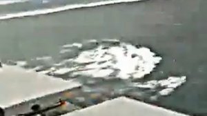 цунами в Японии