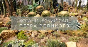 Ботанический сад Петра Великого  (весна)