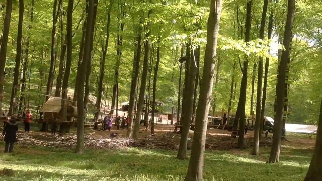 Горилла парк, Дания, Вайле. смотреть онлайн