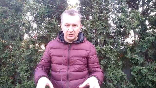 Делаем первые шаги в виноградарстве: особенности посадки куста