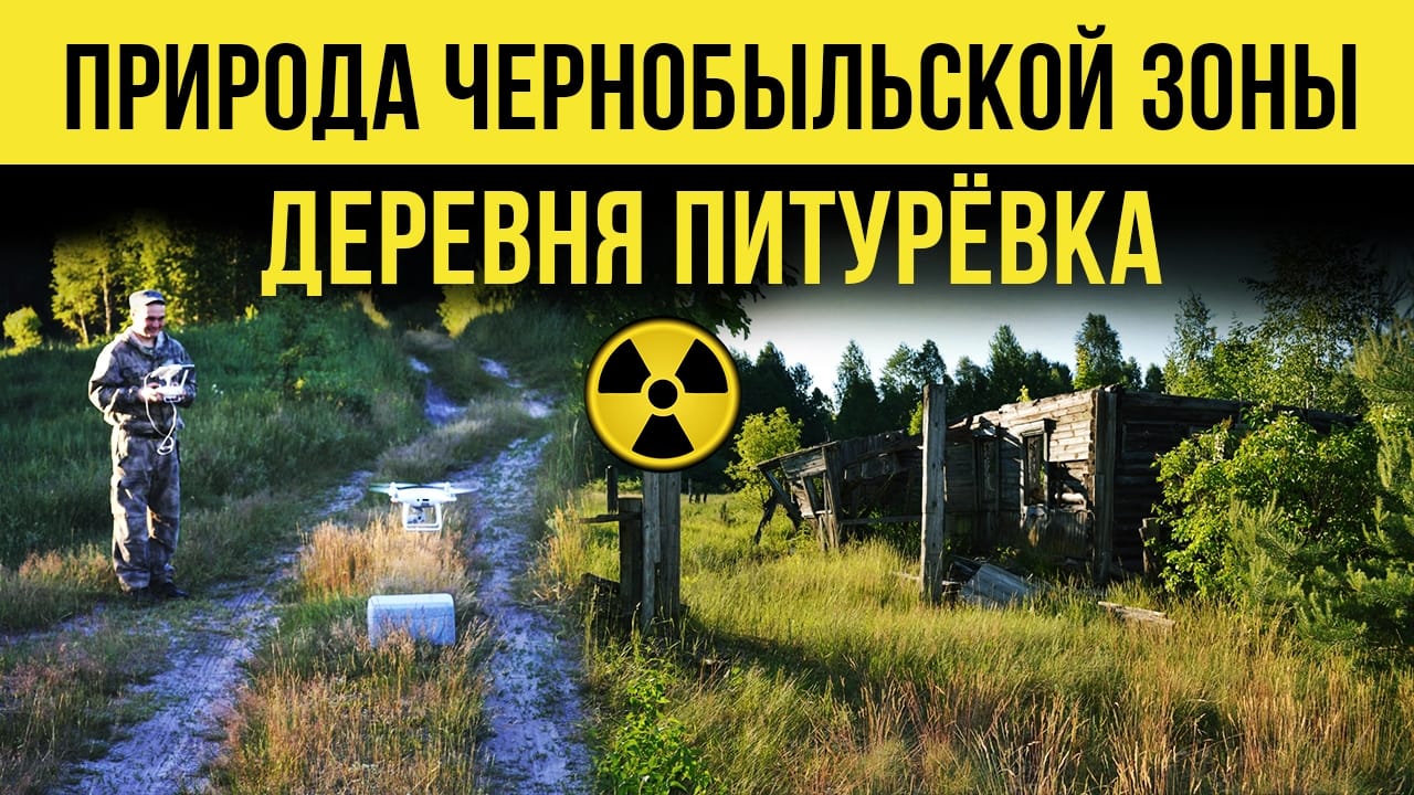 Природа чернобыльской зоны. Деревня Питурёвка. смотреть онлайн
