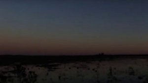 BROWNING MAXUS Design RUS