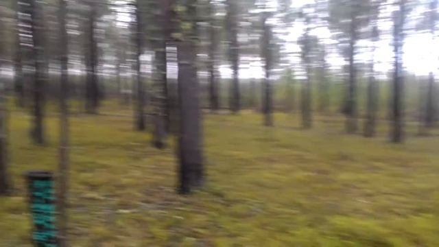 Работа на Ямале смотреть онлайн