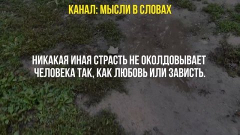 Золотая Коллекция Мудрых Цитат, открывающие глаза на нашу жизнь #цитаты #мудрость #афоризмы