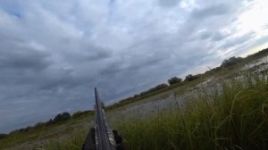 ОХОТА НУ ГУСЯ И УТКУ! ТОЛЬКО ВЫСТРЕЛЫ!