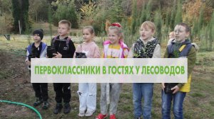 Первоклассники в гостях у лесоводов