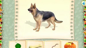 Игра "Кто что ест". Game "Who eats what"