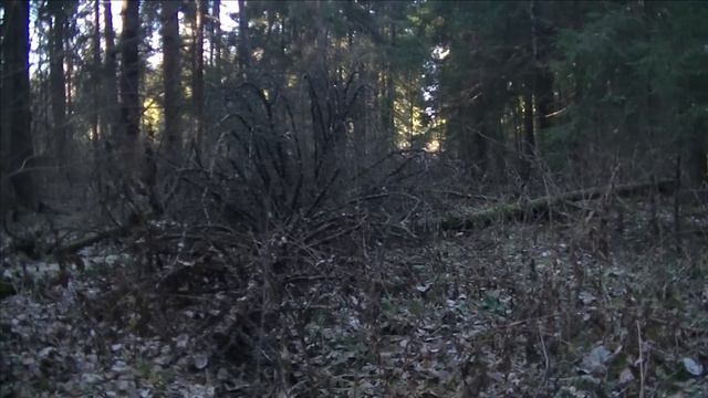 Новые находки на старых местах смотреть онлайн