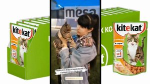 Диана Анкудинова и котик.