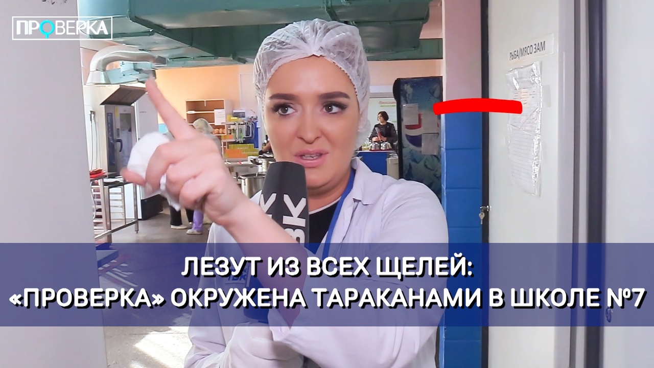 Красноярская школа №7 / «Проверка»