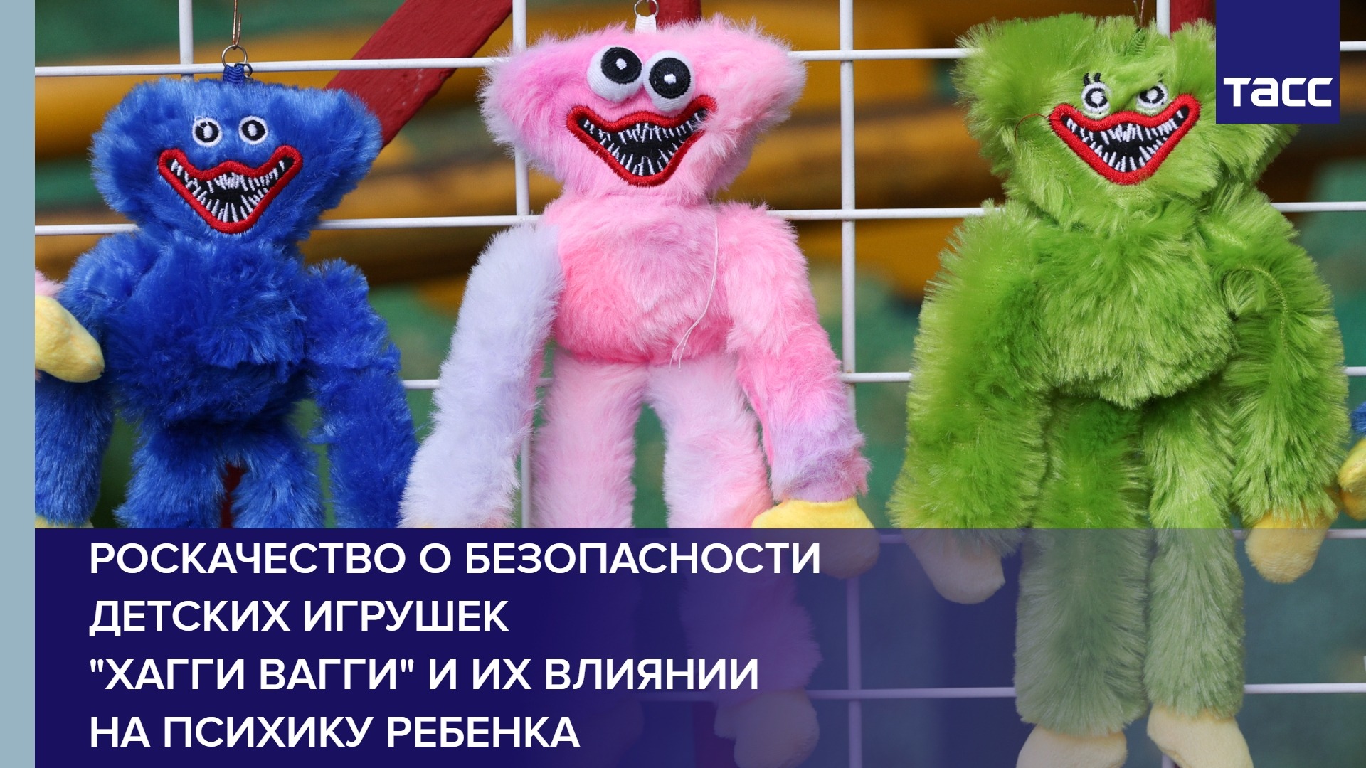 Роскачество о безопасности детских игрушек "Хагги Вагги" и их влиянии на психику ребенка