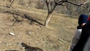 Как снимают Эртугрул