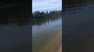 Касимов Приокский Пляж,которого НЕТ!😡Затон 13.08.2022