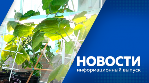 Новости 21.02.24