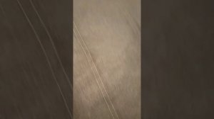 Как почистить диван из рогожки#чистимдиван#штихонит