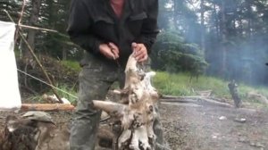 волонтёры - на Шантарские острова летом 2020-го