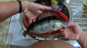 Рыбалка на Дроп-шот. Речка Молва. Окунь на силикон. Щучка