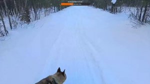 На природе в Коми. Поход с Туланом.