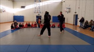 Jiu-Jitsu Demonstration -3-