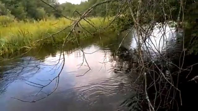 Человек реки смотреть онлайн