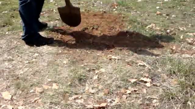 BLISSTOOL LTC48 :: Field Test 10. 30/40 :: BLISSTOOL Metal Detector Field Test смотреть онлайн