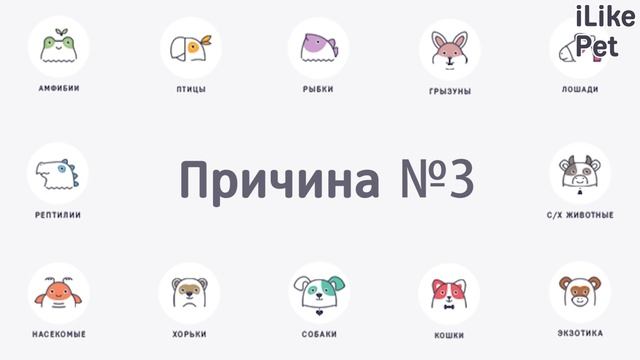 Почему нельзя кормить кошек со стола? смотреть онлайн