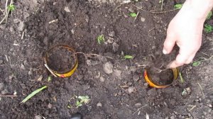 НЕ САЖАЙТЕ КАБАЧКИ    ПОКА НЕ ПОСМОТРИТЕ ЭТО ВИДЕО!!!  Супер посадка кабачков.