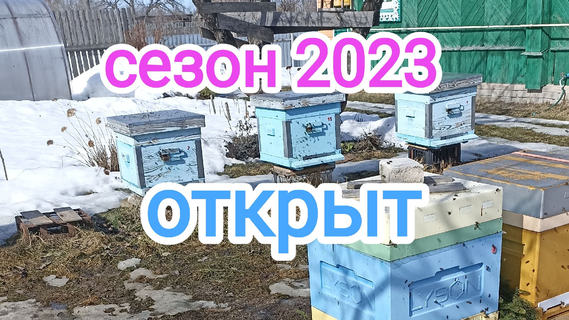 Первые работы на пасеке весной, после облёта! Пчеловодство!