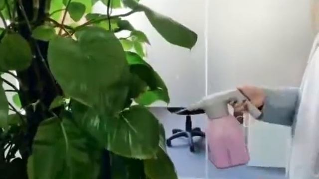 Опрыскиватель садовый аккумуляторный - электрический распылитель для сада и огорода смотреть онлайн