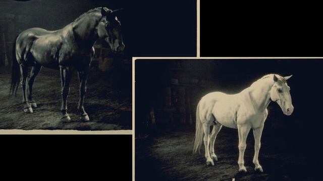 Red Dead Online - Le Kladruber смотреть онлайн