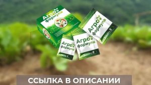 Для лучшей защиты от сорняков! Агроформула обзор, отзывы, где купить гербицидный биопрепарат.