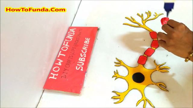 neuron model project for science fair exhibition | 3D | howtofunda | using cardboard | simple