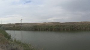 Говорят Здесь РЫБЫ НЕТ! ЗДЕСЬ НЕ КЛЮЁТ! РЫБАЛКА на реке Аксай!