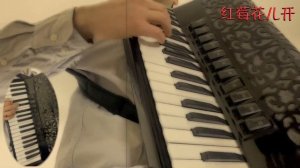 Ой, цветет калина | 红莓花儿开 | Accordion Cover