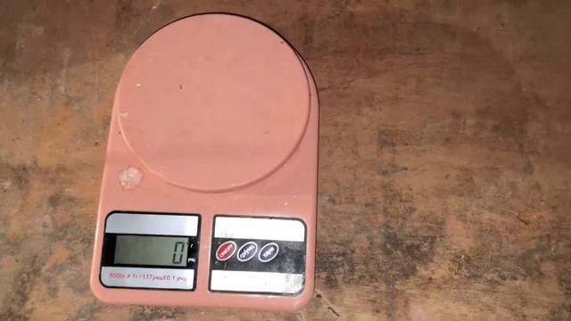 Техасский бройлерный перепел в 45 день жизни, от супер производителей породы. Взвешивание перепелят смотреть онлайн