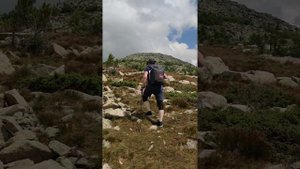 Поднебесные зубья 2023г.