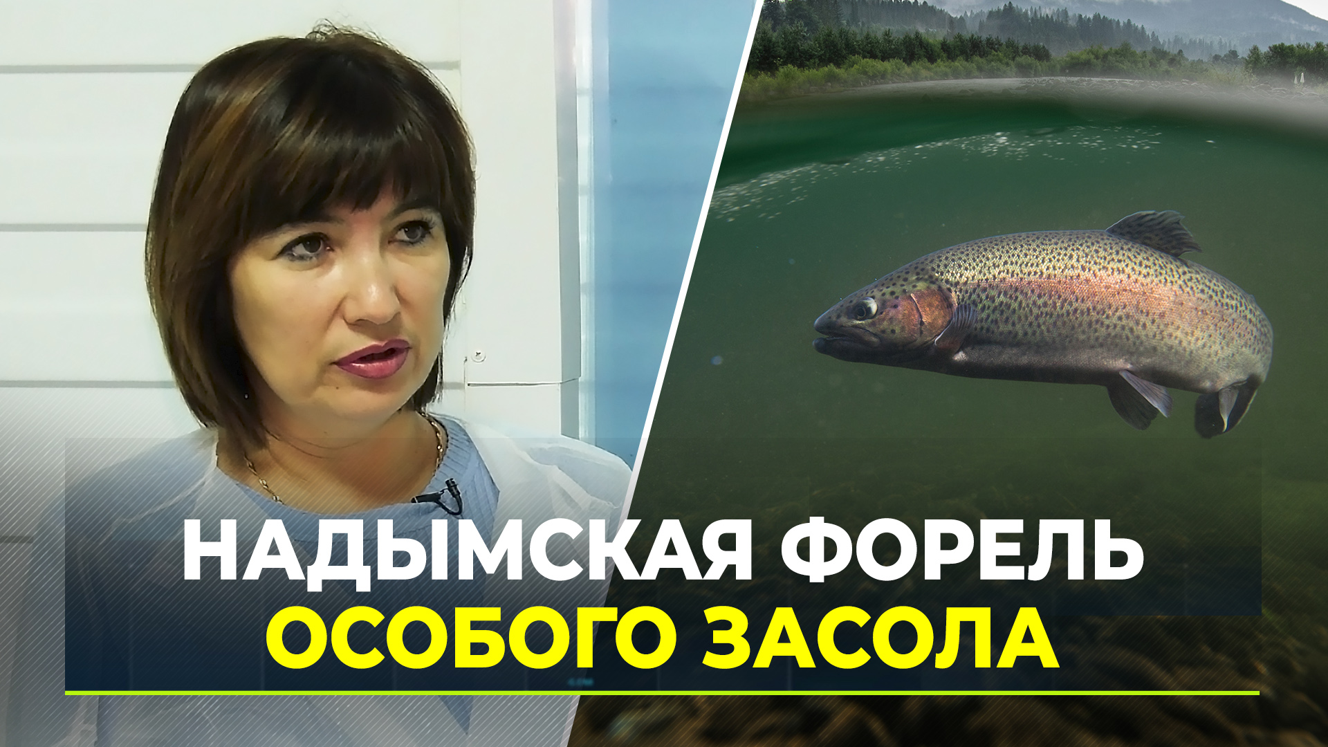В Надыме открыли цех по переработке форели из местного озера